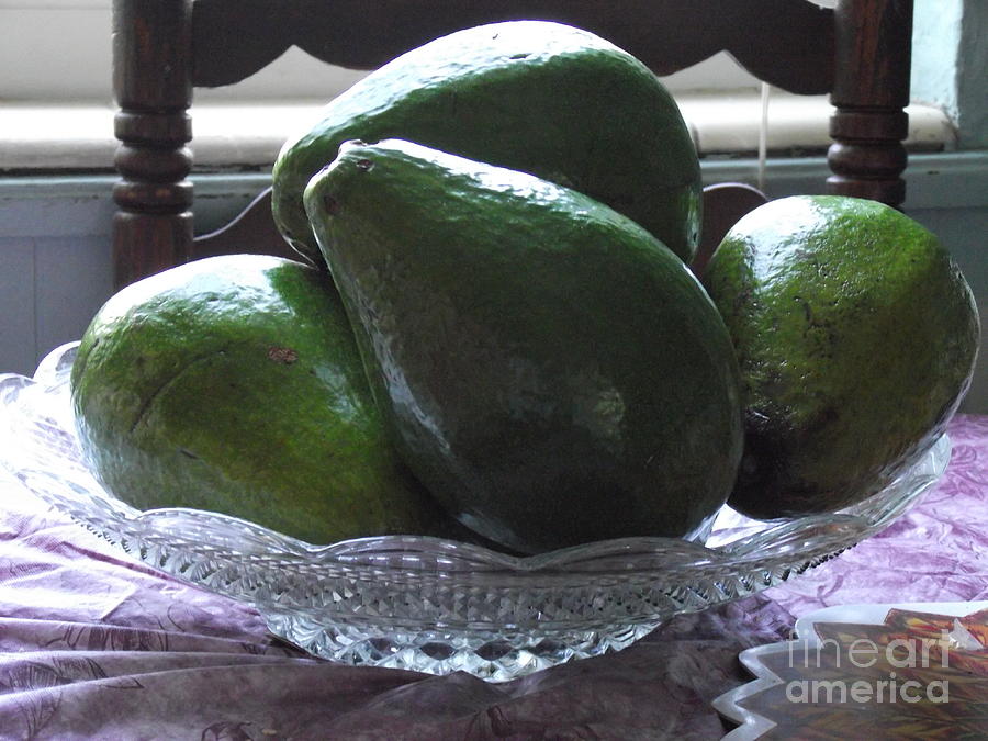 Avocado Photograph by Monica De la nuez - Pixels