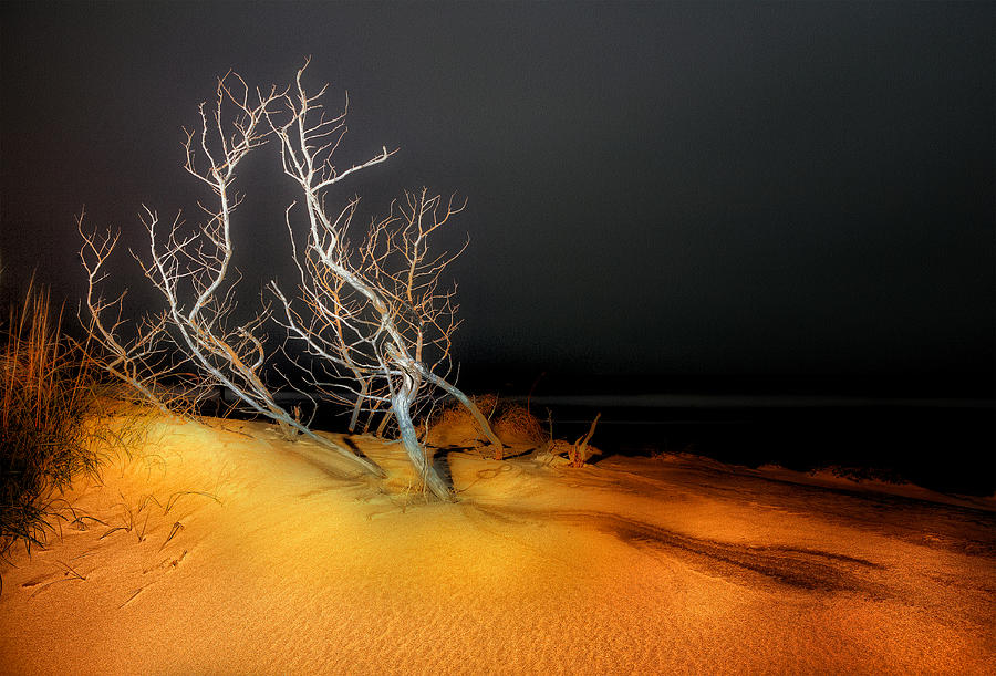 Landscape Photograph - Awaiting the Light I - Outer Banks by Dan Carmichael