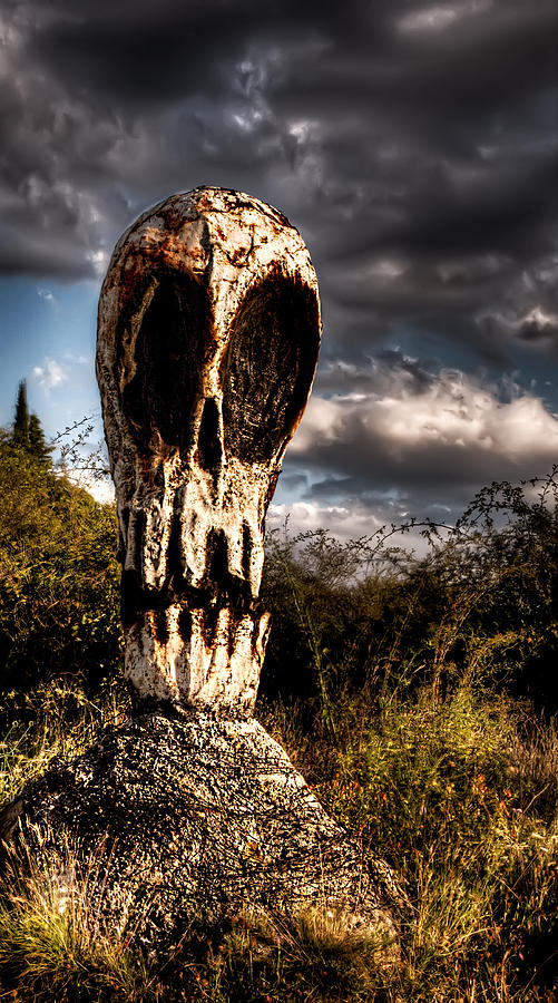 Awaken Skull in the Twilight 3 Photograph by Weston Westmoreland