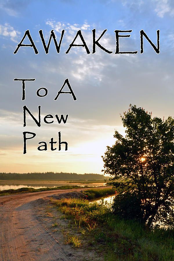 Awaken To A New Path Photograph by Beth Sawickie