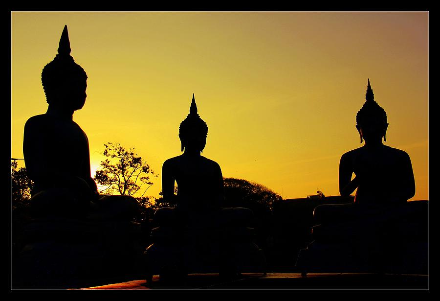Buddha Photograph - Awakening by Ajithaa Edirimane