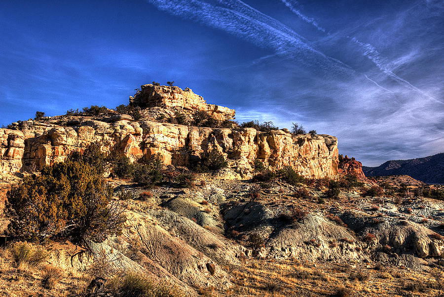 Awakening Desert by Chuck Summers Awakening Desert by Chuck Summers
