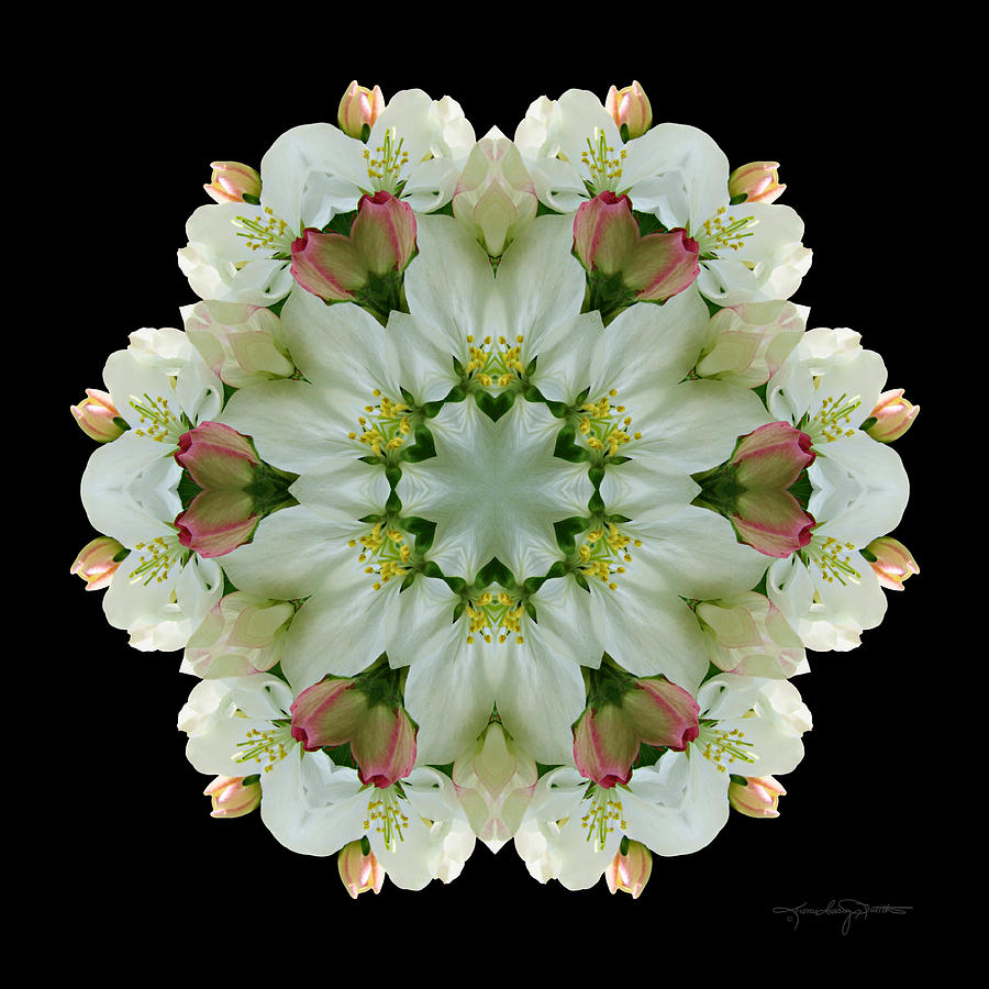 Flower Mandala Photograph - Awakening in Your Spiritual Heart by Karen Casey-Smith
