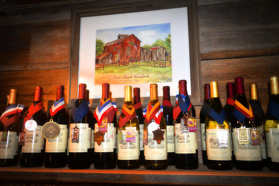 Award Winning Wines Photograph by Lynn Bauer