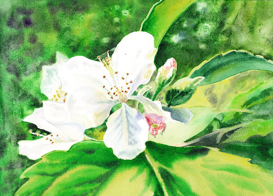 Awesome Apple Blossoms Painting by Irina Sztukowski