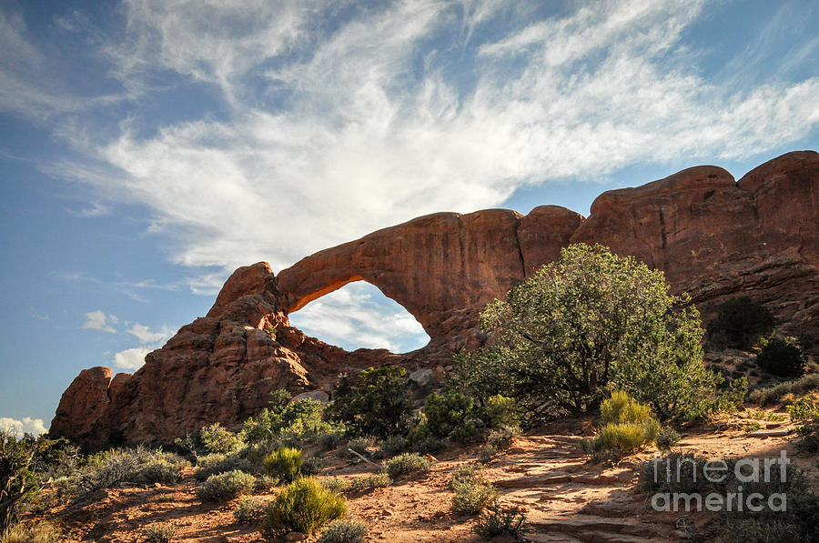 Awesome Arch Photograph by Cheryl McClure