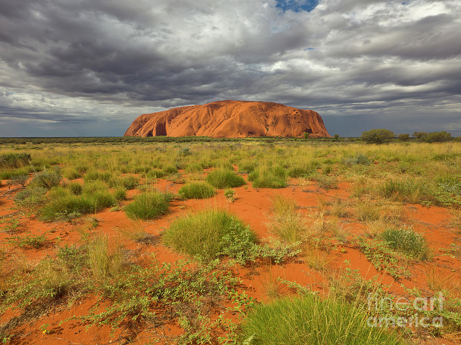 Ayers Rock Uluru-kata Tjuta Natl Park Photograph by Yva Momatiuk and John Eastcott