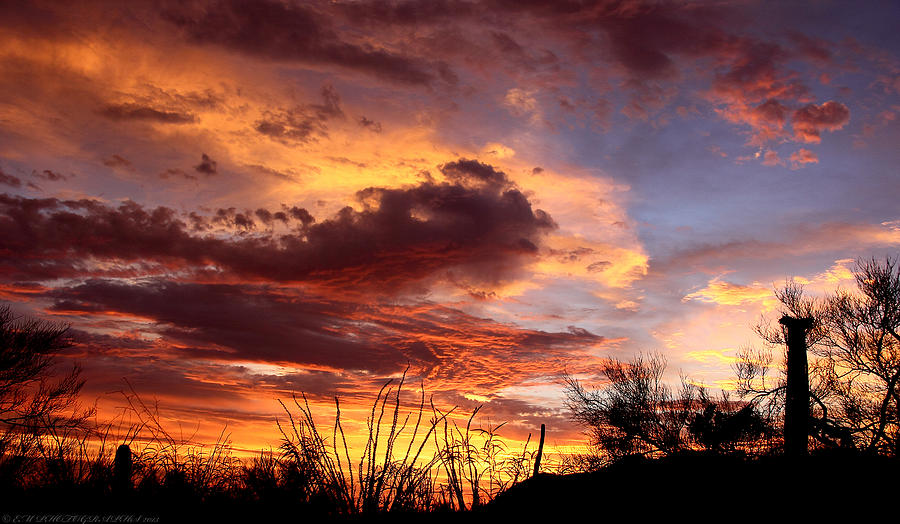 Az Monsoon Sunset Photograph by Elaine Malott