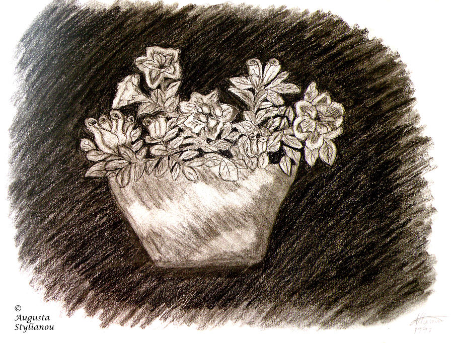Azalea flower  Drawing by Augusta Stylianou