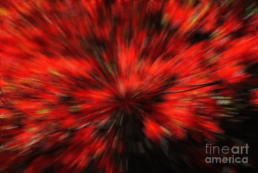 Azaleas Abstract Photograph by Jacqueline M Lewis
