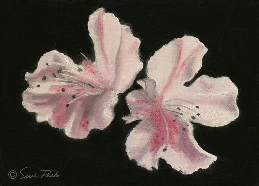 Azaleas Painting by Sarah Parks