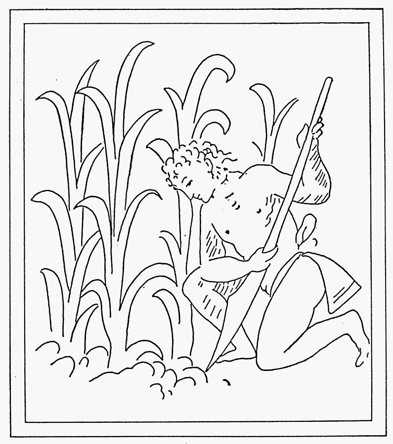 Aztec Farmer Drawing by Granger