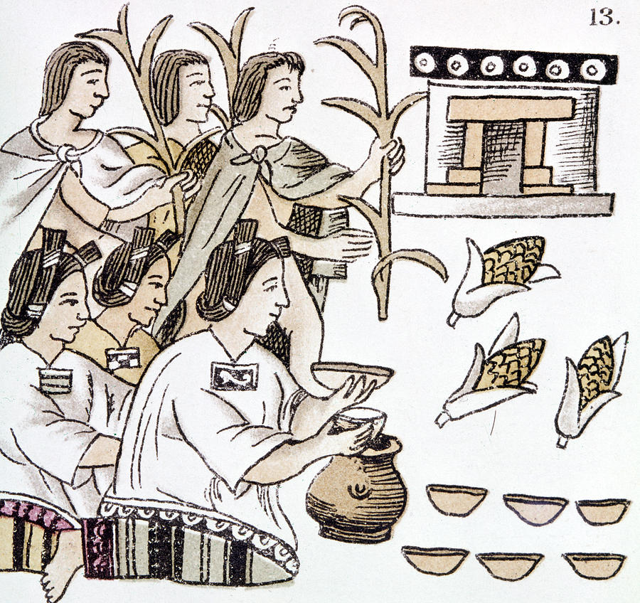 Aztec Harvest Ceremony Drawing by Granger