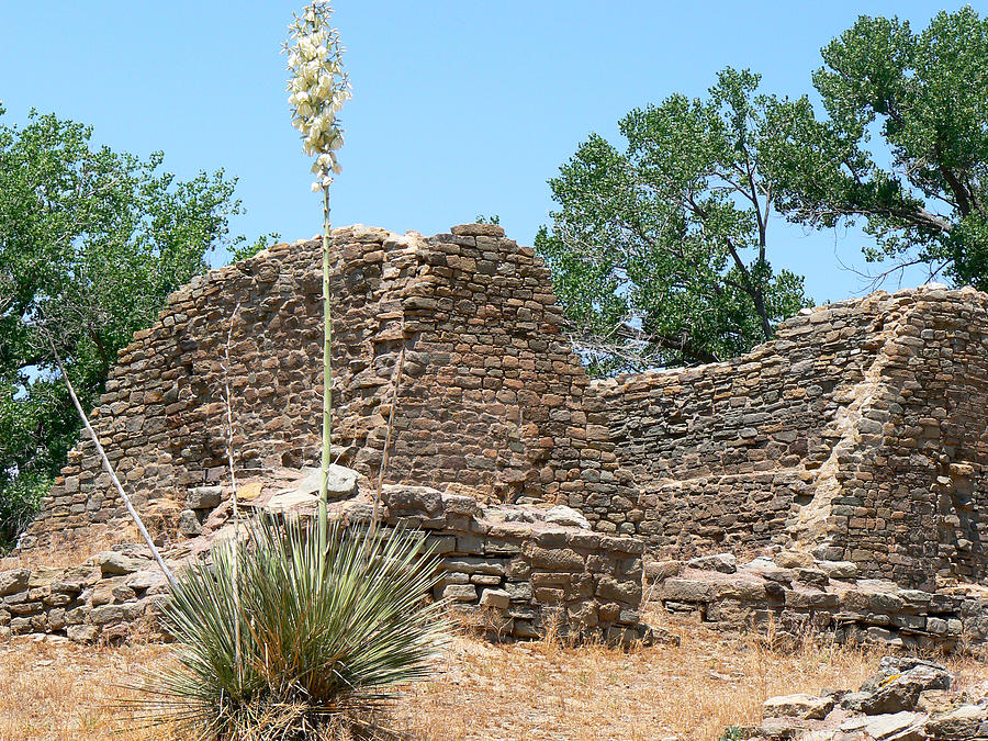 Aztec Ruins National Monument Photograph by Laurel Powell