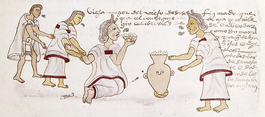 Aztecs Drinking, C1540 Drawing by Granger
