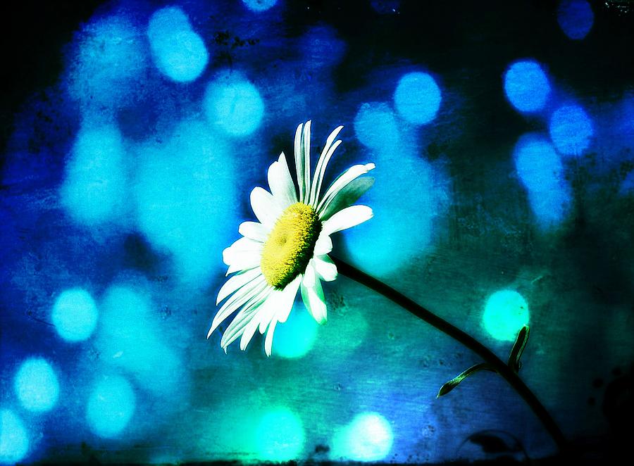 Daisy Photograph - Azurite Malachite Daisy by Christina Shaskus
