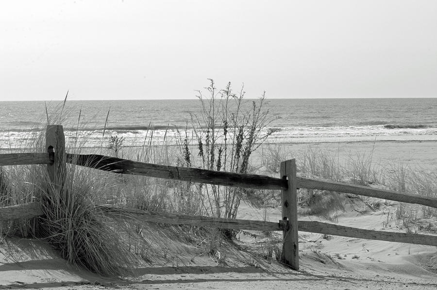 B and W Beach Photograph by Greg Graham