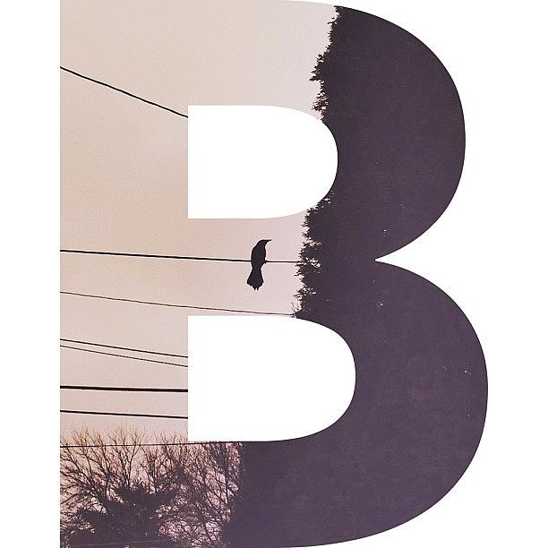 Afterlight Photograph - B Is For Bird.  #afterlight Has Letter by Beth Cole