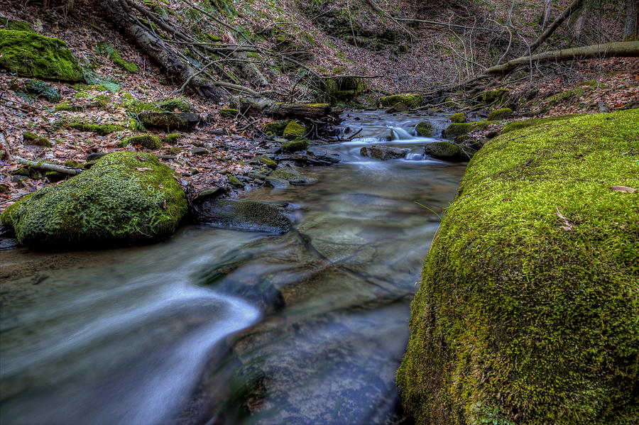 Babbling Brook Photograph by David Dufresne