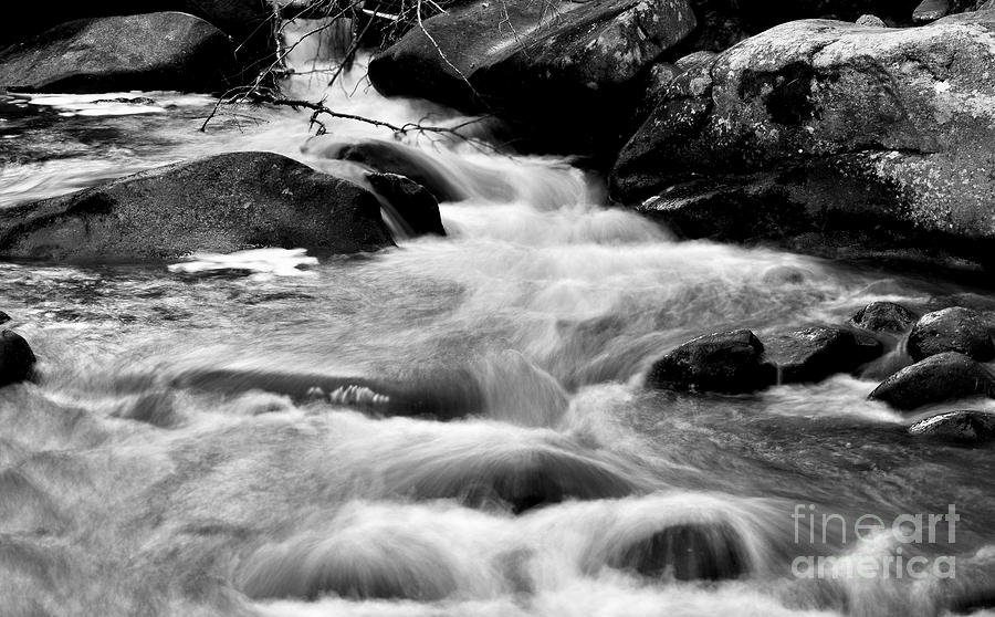 Babbling Brook in Motion Black and White by Staci Bigelow Babbling Brook in Motion Black and White by Staci Bigelow