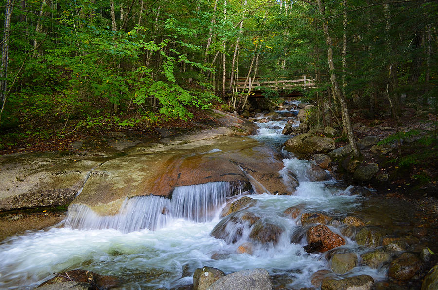 Babbling Brook At Franconia Notch Photograph By Jeffrey Hamilton | Fine ...