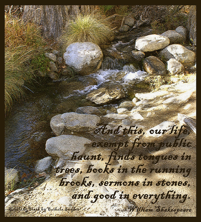 Babbling Brook William Shakespeare Quote Digital Art by Barbara Snyder
