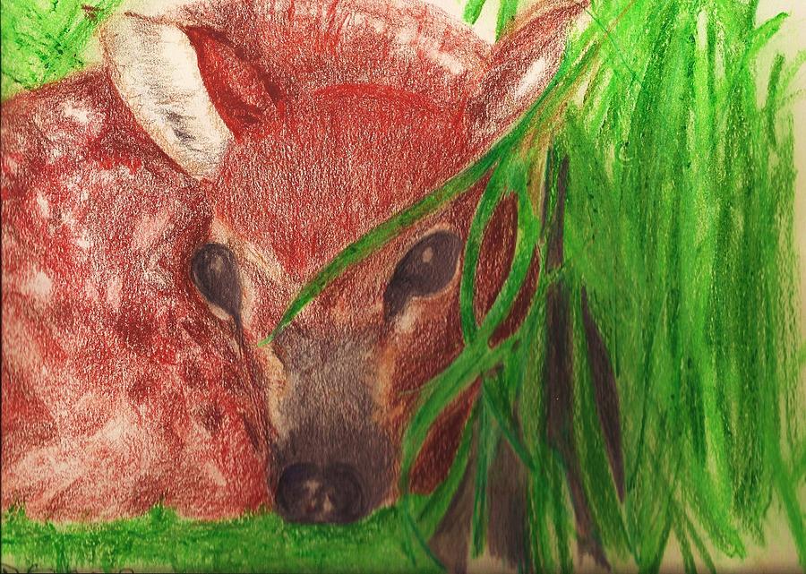 Wildlife Pastel - Babe in the Woods by Deborah Gorga