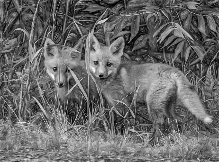 Wildlife Photograph - Babes In The Woods 2 - Paint BW by Steve Harrington