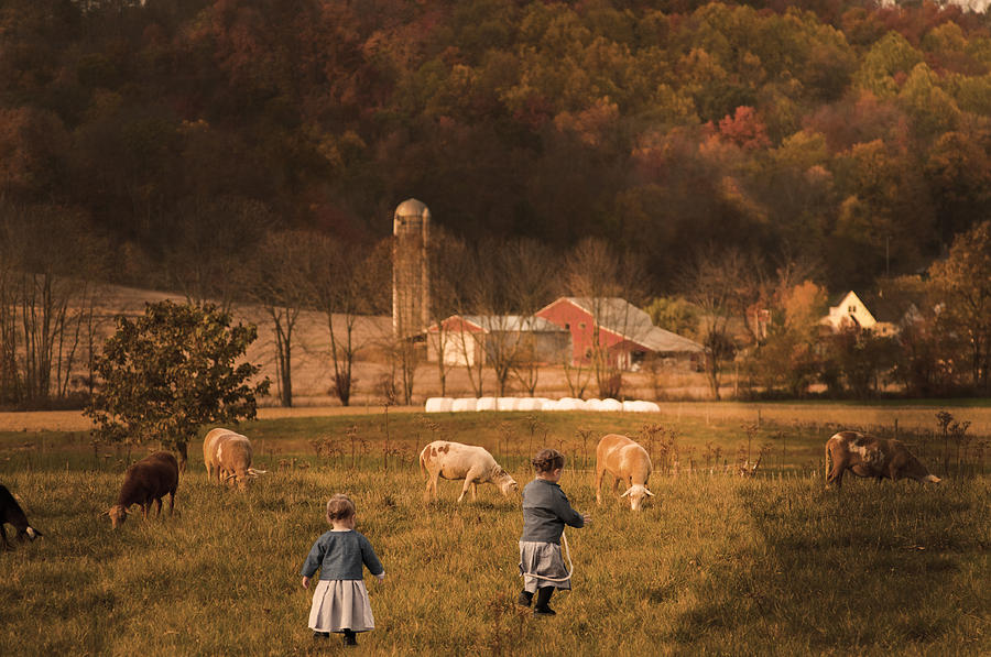 Farm Photograph - Babies in the Goat Field by Randall Branham