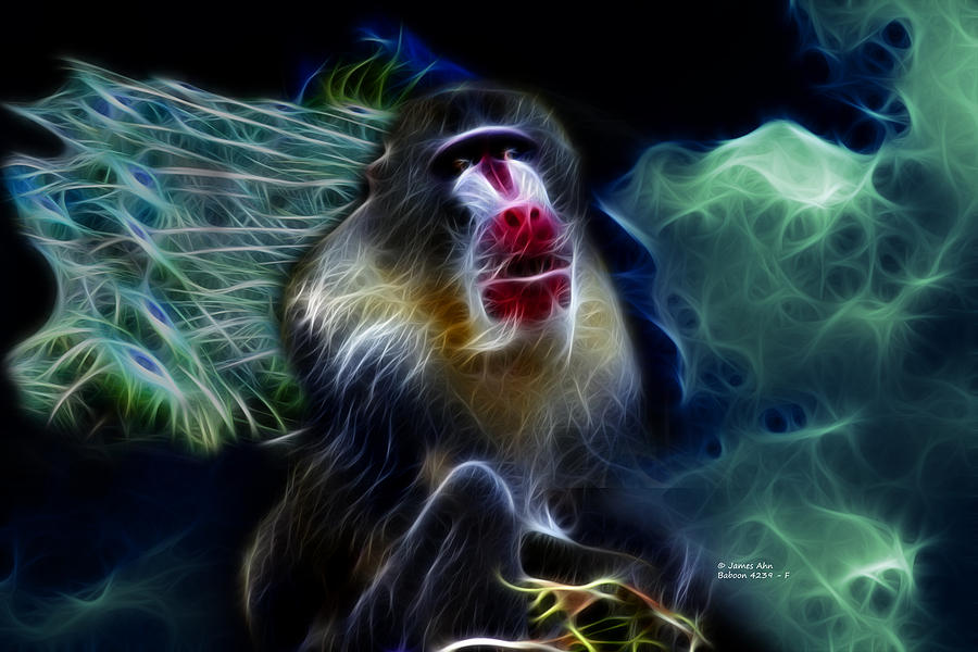 Baboon 4239 - F Digital Art by James Ahn