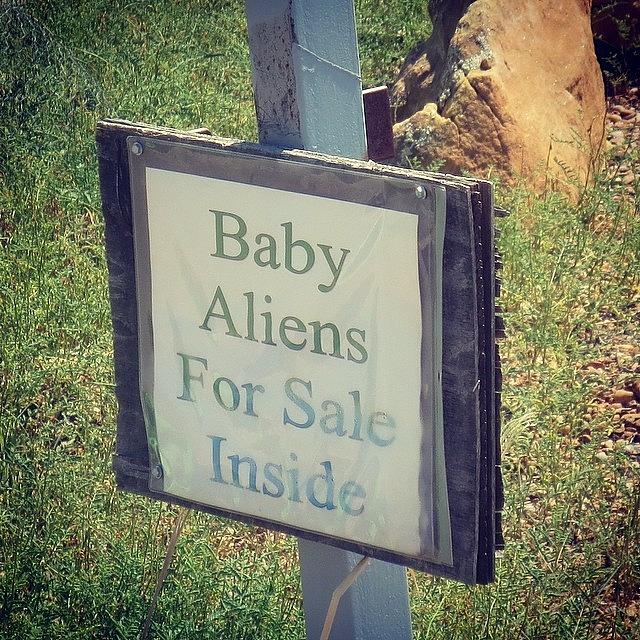 Alien Photograph - Baby Aliens!#purenm by Gia Marie Houck