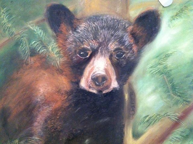Baby Bear Pastel by Joyce Spencer