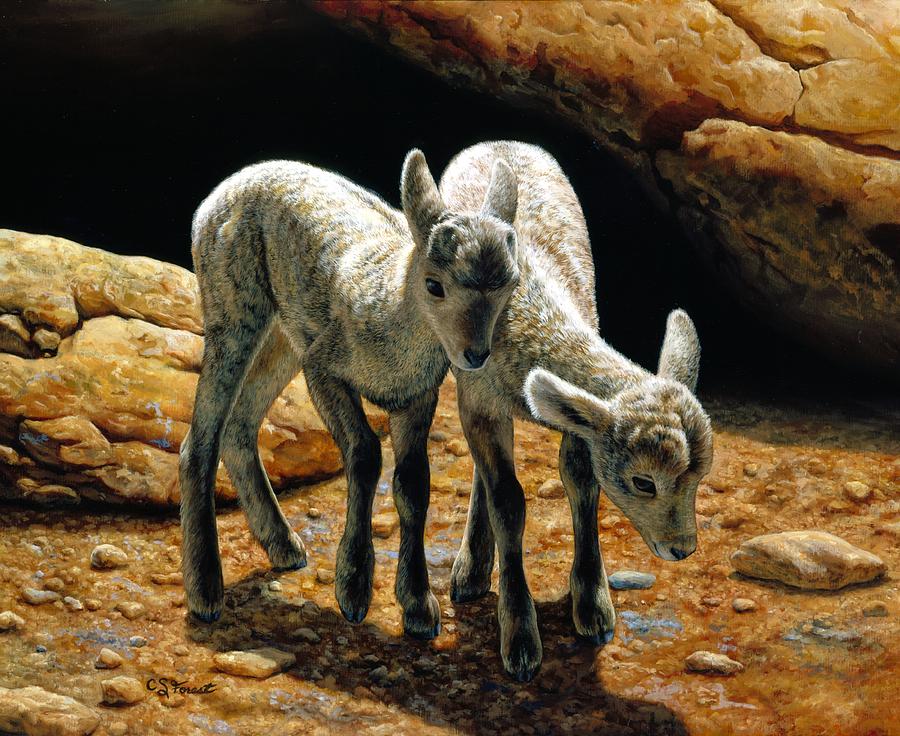 Bighorn Painting - Baby Bighorns by Crista Forest