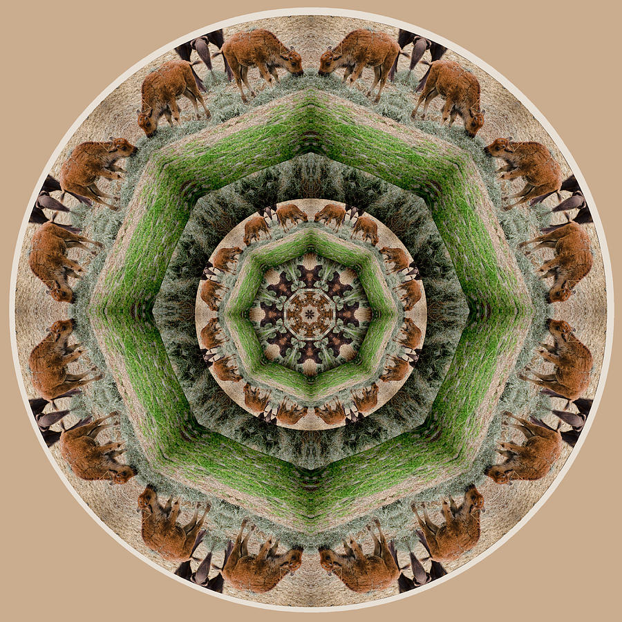 Mandala Digital Art - Baby Bison Mandala by Beth Sawickie