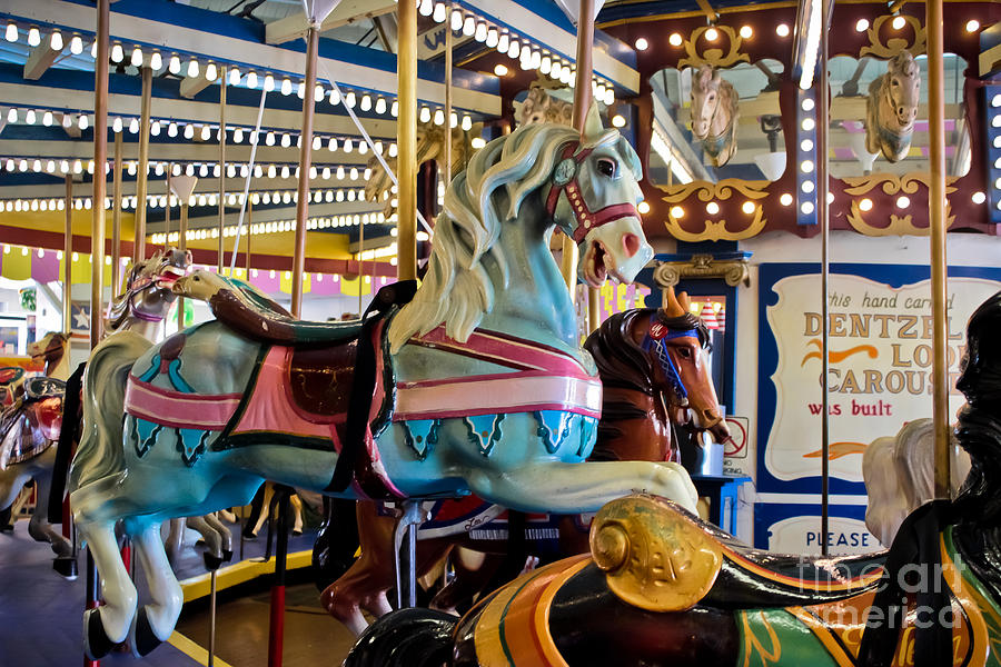 Baby Blue Painted Pony - Carousel Photograph by Colleen Kammerer