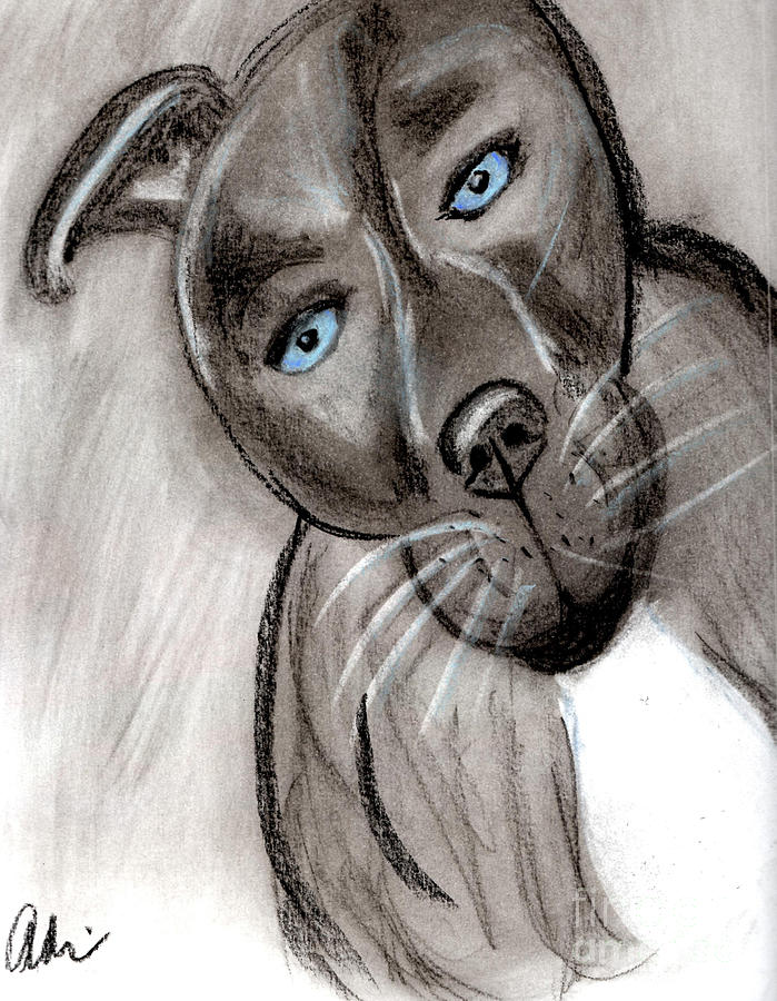 Baby Blue Puppy Eyes Drawing
