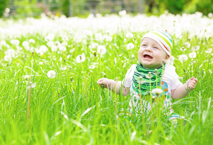 Spring Photograph - Baby Boy With Dandelions by Wladimir Bulgar