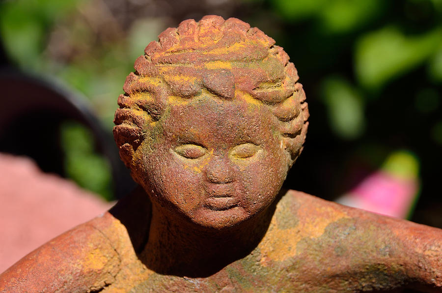 Baby Buddah in Sunlight Photograph by William Jobes