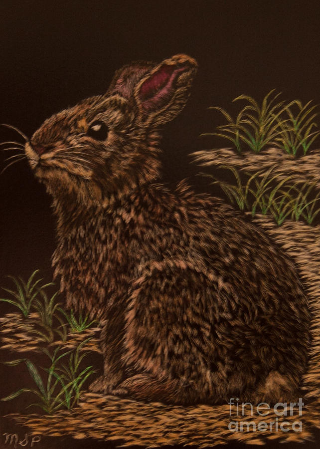 Baby Bunny Painting by Margaret Sarah Pardy