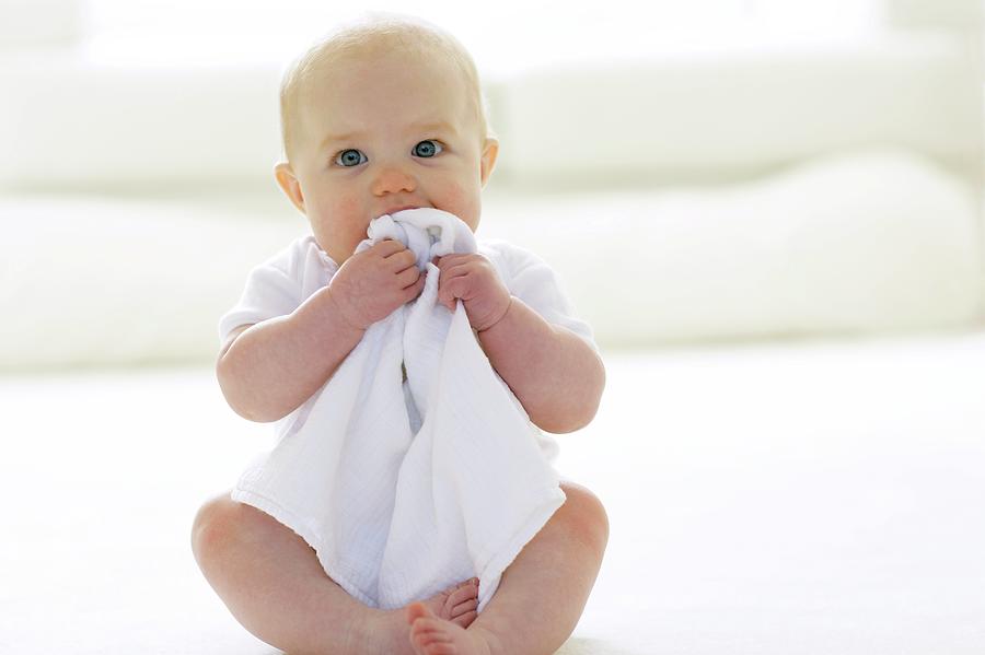 Baby Chewing A Blanket Photograph by Science Photo Library Baby Chewing A Blanket Photograph by Science Photo Library