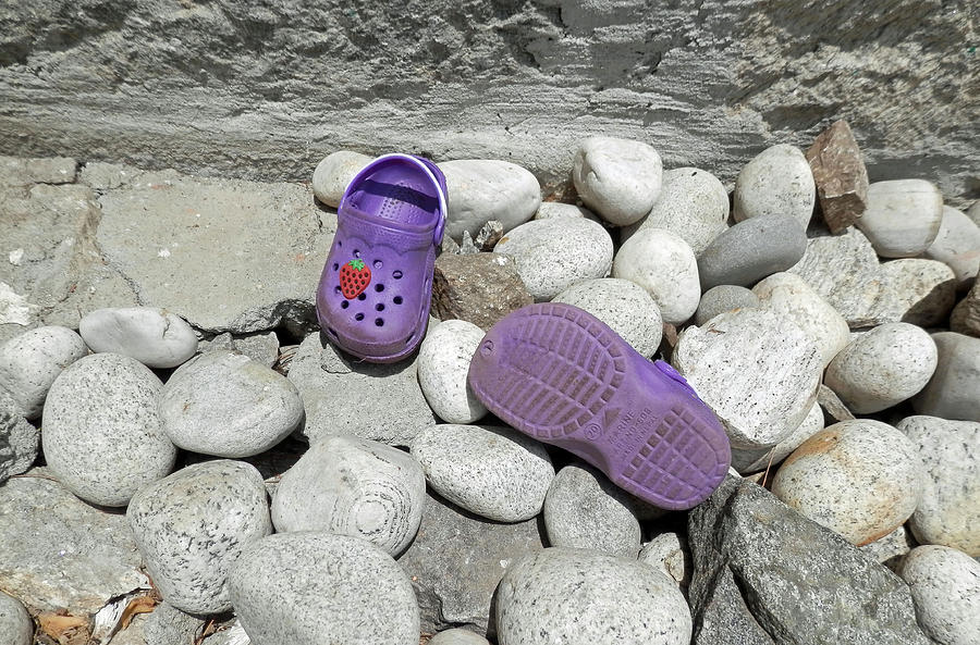 Baby Crocs Photograph by Pema Hou