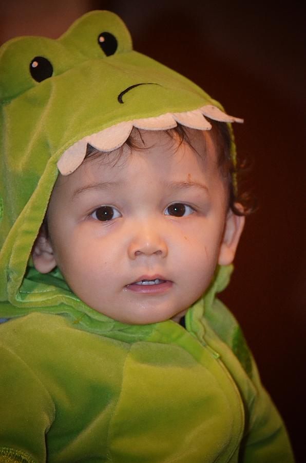 Baby Dinosaur Photograph by Maria Urso
