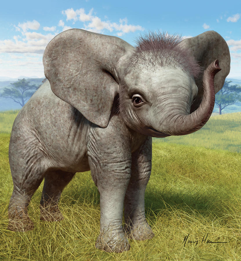 Wildlife Painting - Baby Elephant by Gary Hanna