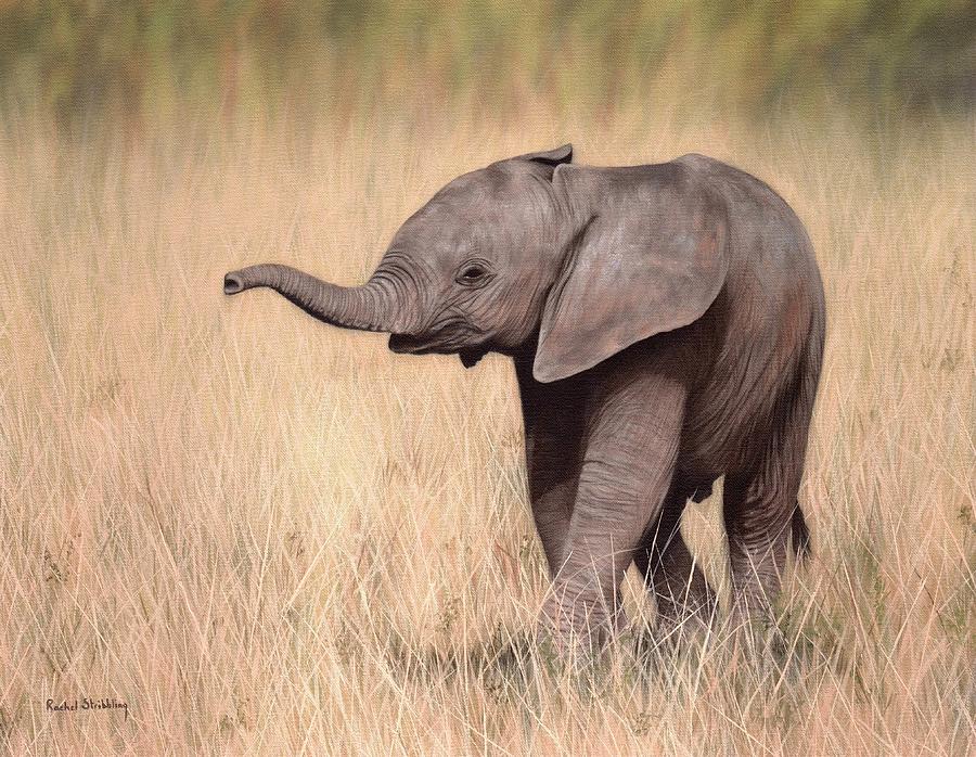 Elephant Calf Painting Painting by Rachel Stribbling