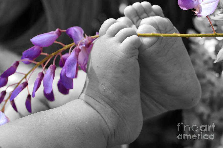 Baby Feet Photograph by Cassandra Buckley