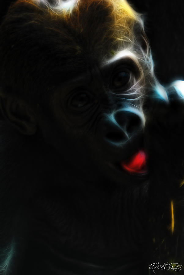 Baby Gorilla at the Buffalo Zoo Photograph by Michael Frank Jr