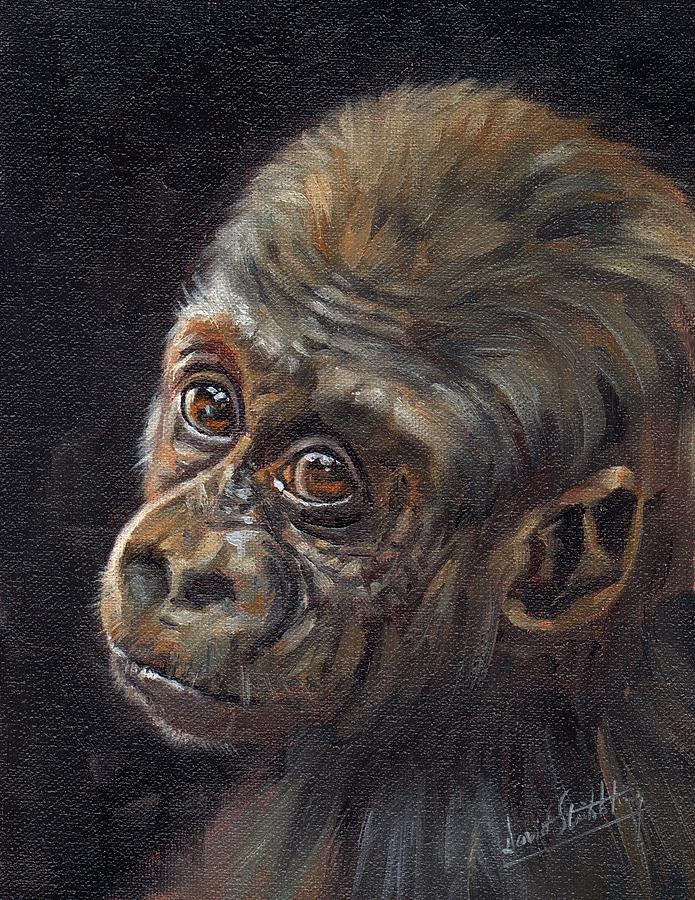 Baby Gorilla Painting by David Stribbling