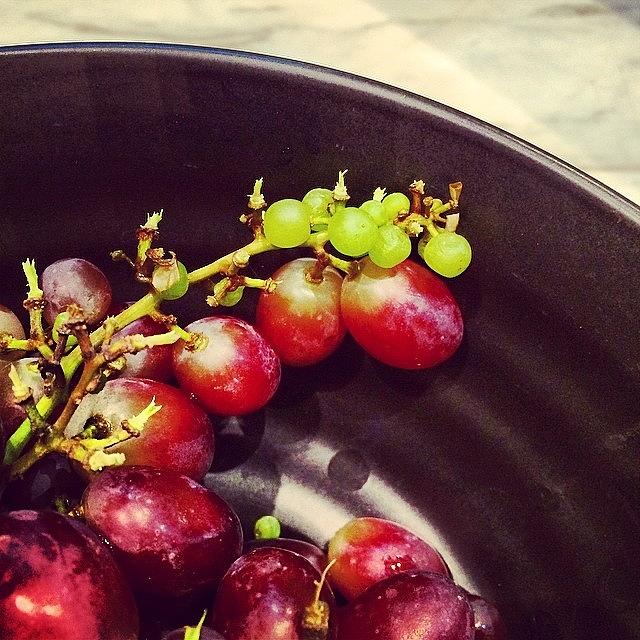 Fruit Photograph - Baby Grape. #baby #grape #fruit #cute by Beatrice Looi