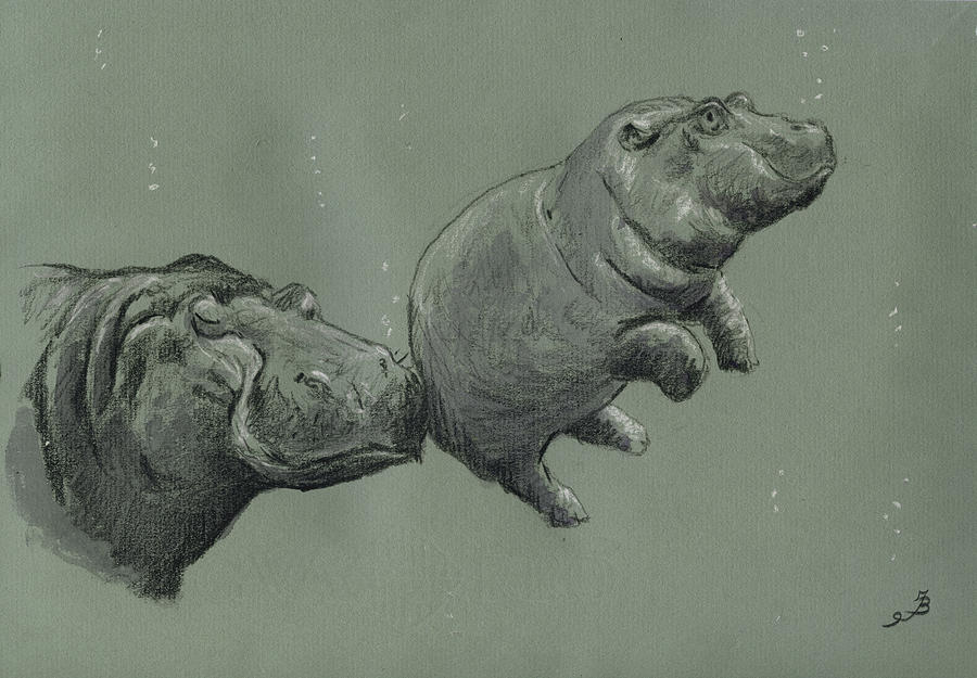 Nature Painting - Baby hippo by Juan  Bosco