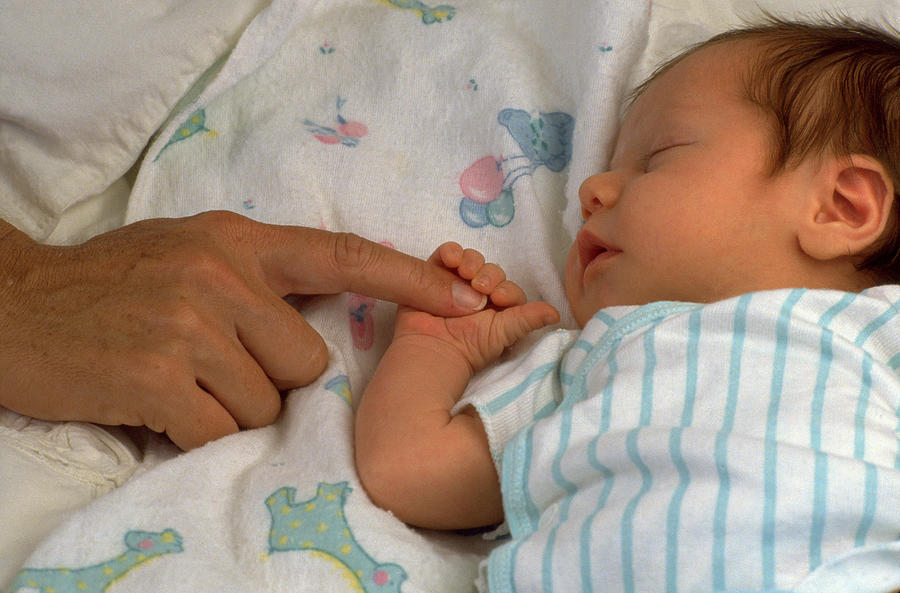 Baby Holding Fathers Hand Photograph by Mitch Diamond